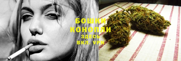 стаф Богородск