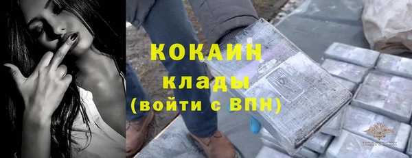 мяу мяу мука Беломорск