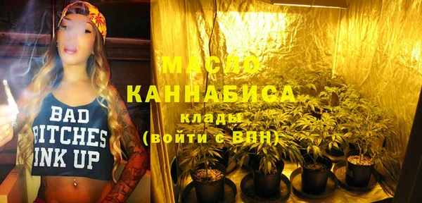 стаф Богородск