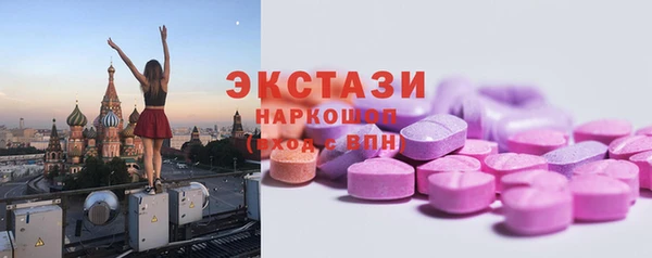 стаф Богородск