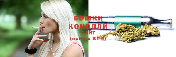 крисы Богданович