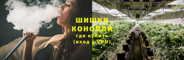 стаф Богородск