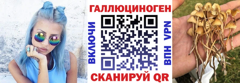 Галлюциногенные грибы GOLDEN TEACHER  OMG зеркало  Белёв 